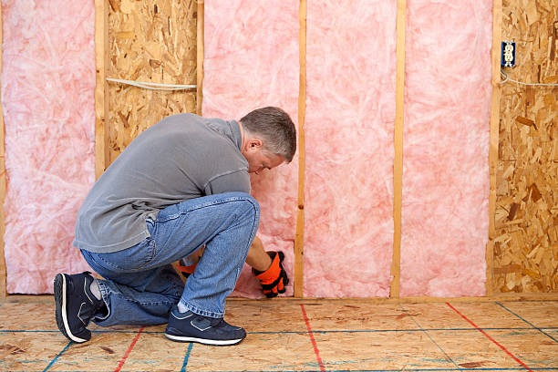 Best Insulation for New Construction  in Odem, TX